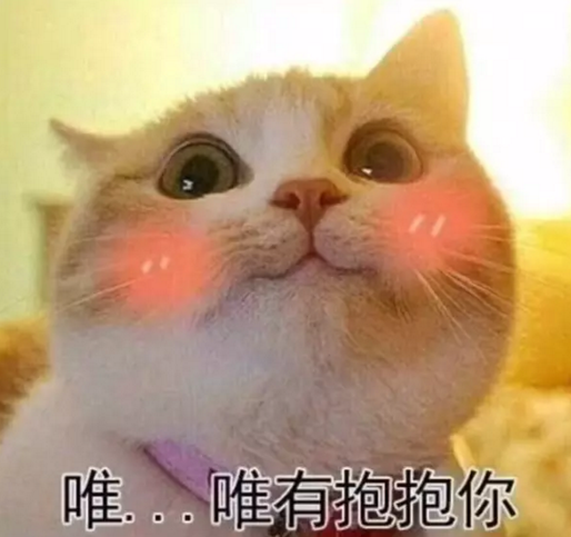 抖音表情 抖音表情包 抖音套路 抖音 撩汉猫咪 撩 猫咪 表白