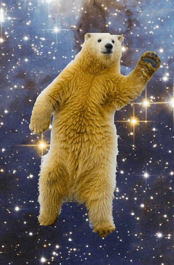 北极熊 跳舞 音乐 扭动