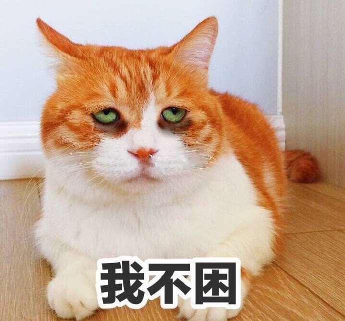 猫咪我不困翻白眼迷糊gif动图_动态图_表情包下载_soo