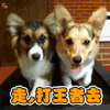 走，打王者去了 soogif soogif出品