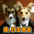 走，打王者去了 soogif soogif出品