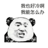 天好冷 熊猫人 冷 好冷 怎么办