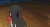 轻音少女 女孩 可爱 友谊