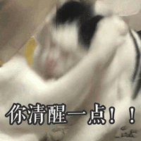 清醒一点 生气 猫