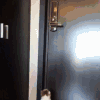 猫咪 可爱 萌宠 玩耍