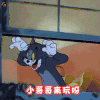 猫和老鼠 小哥哥来玩呀 开心 爱情 兴奋 soogif soogif出品