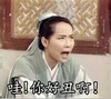 叶童 白蛇传 许仙 哇 你好丑啊