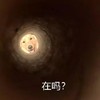 萌宠 汪星人 在吗 好奇 呆萌 可爱