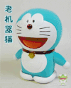 猫咪  机器    动画 动态