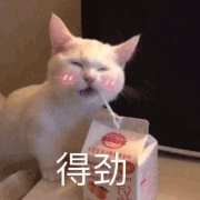 沙雕猫 猫咪 猫 可爱猫 猫表情包 猫咪表情包 小猫