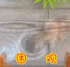 soogif soogif出品 围观