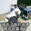 萌宠 喵星人 猫听了我的故事 都开始喝酒了 呆萌 可爱