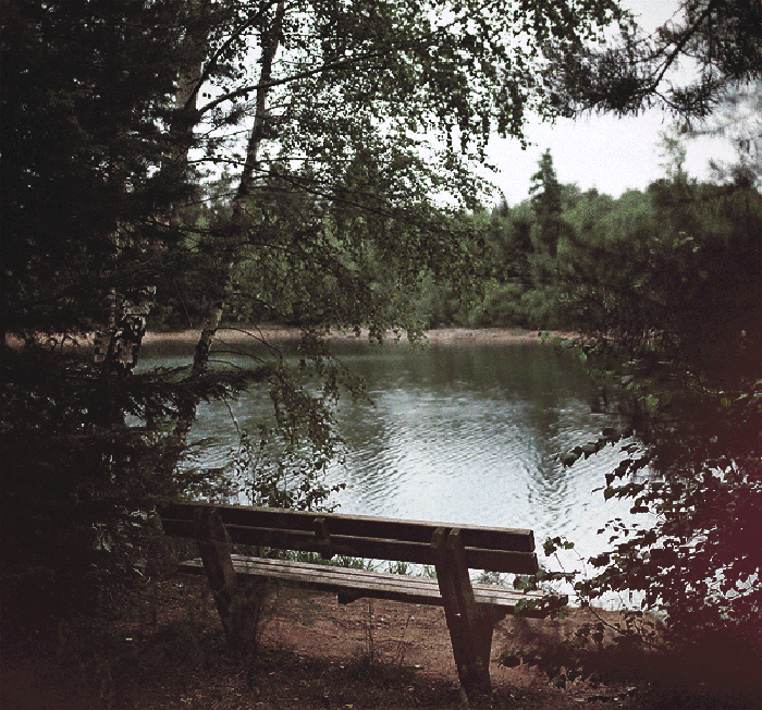湖边 水面 树木 长椅