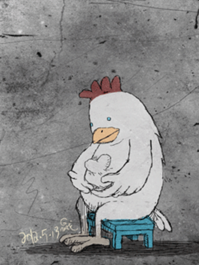 卡通 爱心 公鸡 拽鸡毛