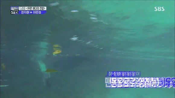 美人鱼 海底 综艺 游泳