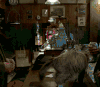 猫咪 家庭 可爱 玩