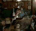猫咪 家庭 可爱 玩