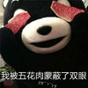 熊本熊 捂眼睛 搞笑 我被五花肉蒙蔽了双眼