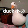 萌宠 鸭子 duck不必 算了算了 呆萌 可爱