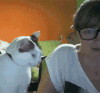 小猫 白色 眼镜 人