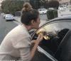 美女 汽车 照镜子 尴尬