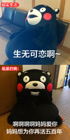熊本熊 追星 现实 追星VS现实 生无可恋 伤心 爱你 妈妈 五百年
