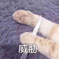 威胁 猫 刀