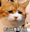 萌宠 猫星人 你还好意思胡说 嫌弃 呆萌