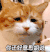 萌宠 猫星人 你还好意思胡说 嫌弃 呆萌
