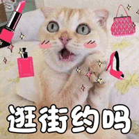 猫 萌宠 喵星人 猫咪 逛街约吗 soogif soogif出品