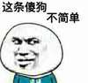 大脑袋 眼神 嘲讽 这条傻狗不简单