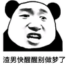 熊猫头 渣男 快醒醒 别做梦了 斗图 搞笑 猥琐