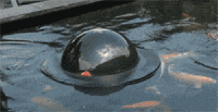 鱼塘 水里 星球 水球