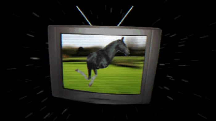 电视机 奔跑 野马 草原