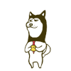 狗狗 二哈 玩具 掉落