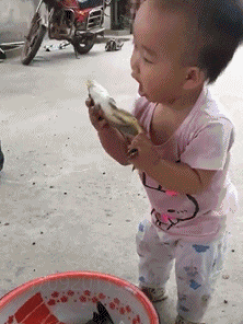 小孩 吃鱼 饭盆 活体