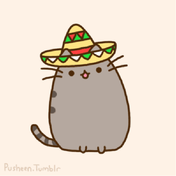 猫咪 晃动 帽子 可爱
