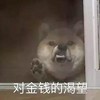 萌宠 汪星人 对金钱的渴望 呆萌 可爱