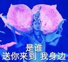 李玲玉 女儿情 特技 表演