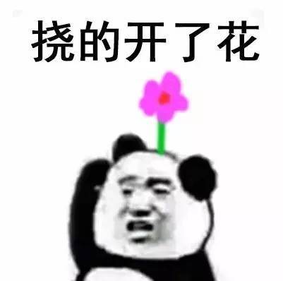 金管长 熊猫头 头上长花  挠的开了花