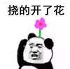 金管长 熊猫头 头上长花 挠的开了花