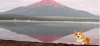 小狗 水面 大山 绿色