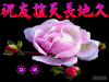 祝福 友谊天长地久 鲜花