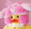 玻尿酸鸭 可爱 萌萌哒 我超凶的