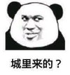 暴漫表情包 熊猫头 城里来的 沙雕 搞怪 逗趣