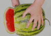 美食 西瓜