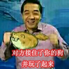 局座 张召忠 狗狗 对方接住了你的狗并玩了起来