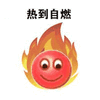 热到自燃 斗图 搞笑 夸张