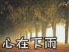心情 伤感 文艺 soogif soogif出品 心在下雨