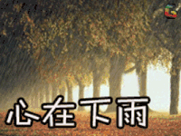 心情 伤感 文艺 soogif soogif出品 心在下雨